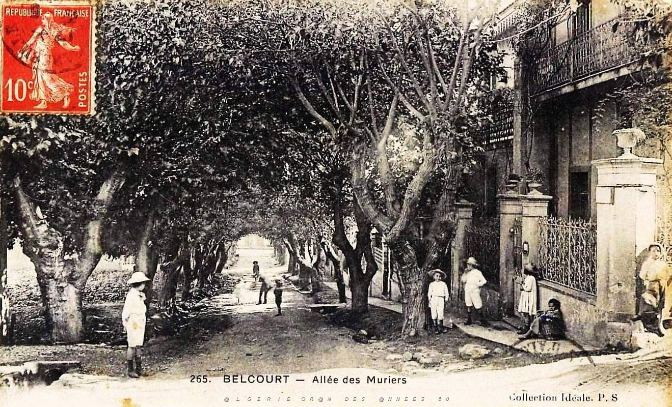 1239- Alger - Belcourt - Allee des muriers.jpg